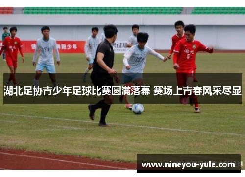 湖北足协青少年足球比赛圆满落幕 赛场上青春风采尽显