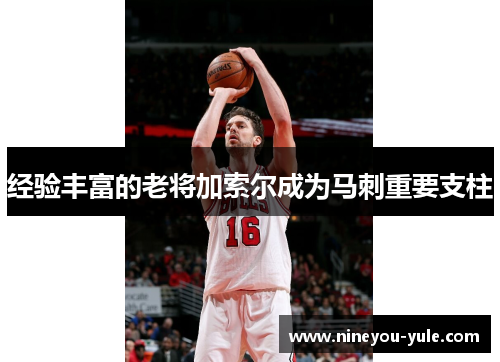 经验丰富的老将加索尔成为马刺重要支柱